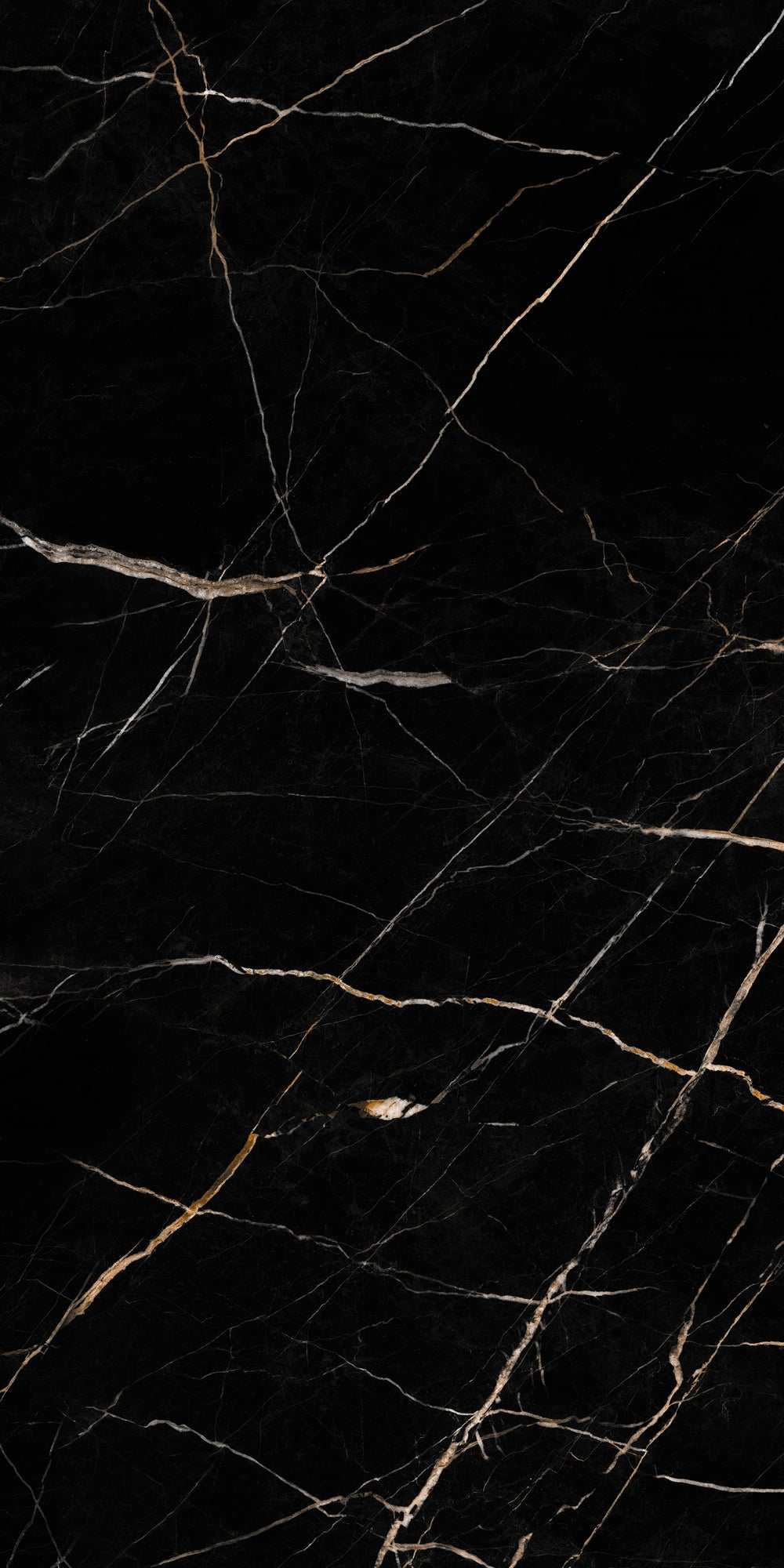 Wandpaneel Calacatta black glänzend