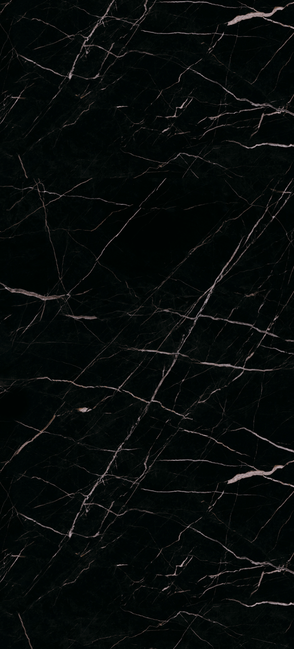 Wandpaneel Calacatta Black XXL